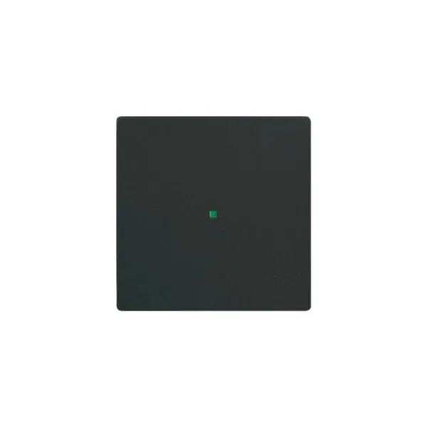 Painike ABB-free@home 1-osainen 1 MV T MAT MUS