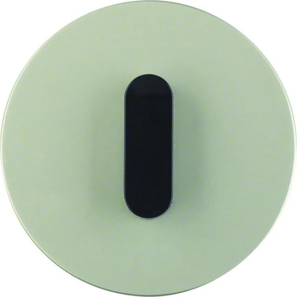 Peitelevy Hager R.classic vääntimellä 1f. w. toggle RST/black