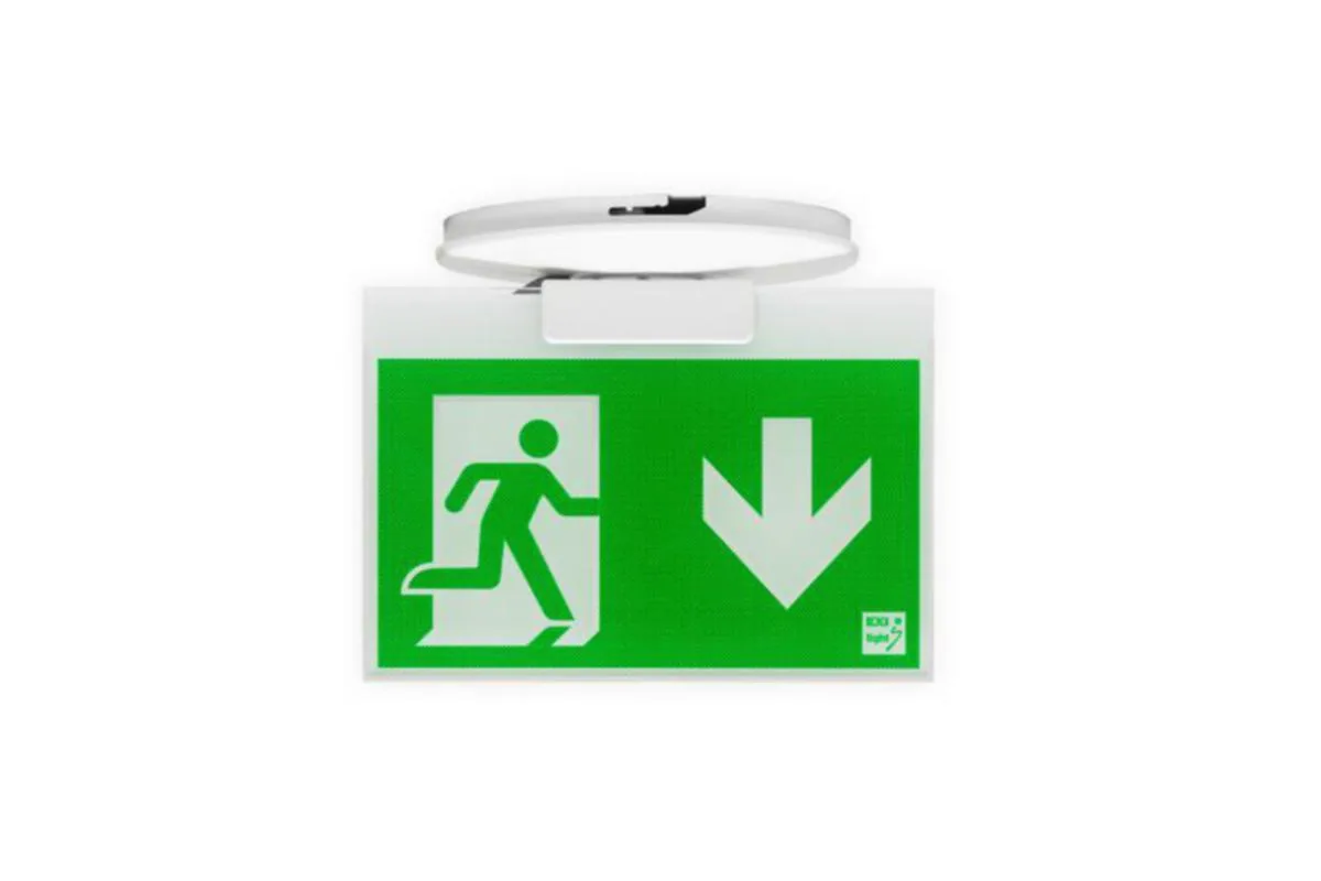 Opastevalaisin Exilight ELX ELX-1W-V EXIOT 230 VAC