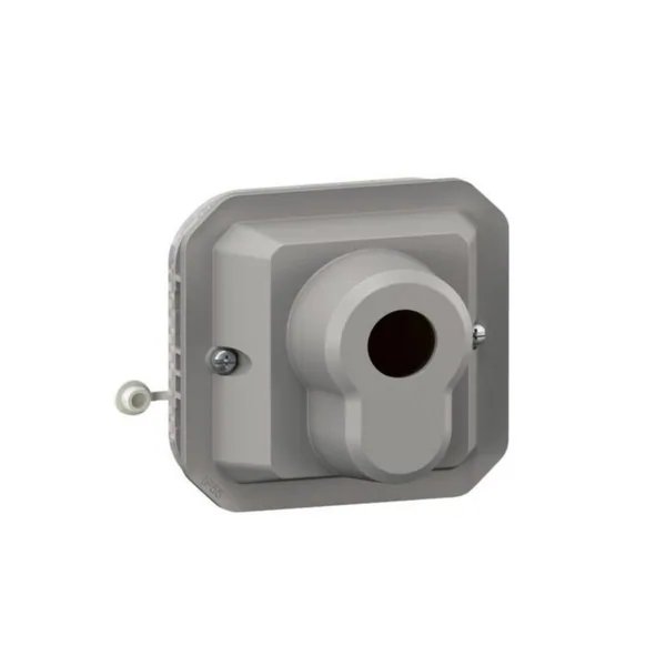 Kytkin Legrand Plexo EURO KEY BARREL SW GREY MECH