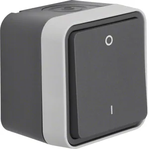 Kytkin Hager W.1 pinta 2, IP55, päälle/pois - KYTKIN W.1 2/10A/250V/IP55 PPJ HAR