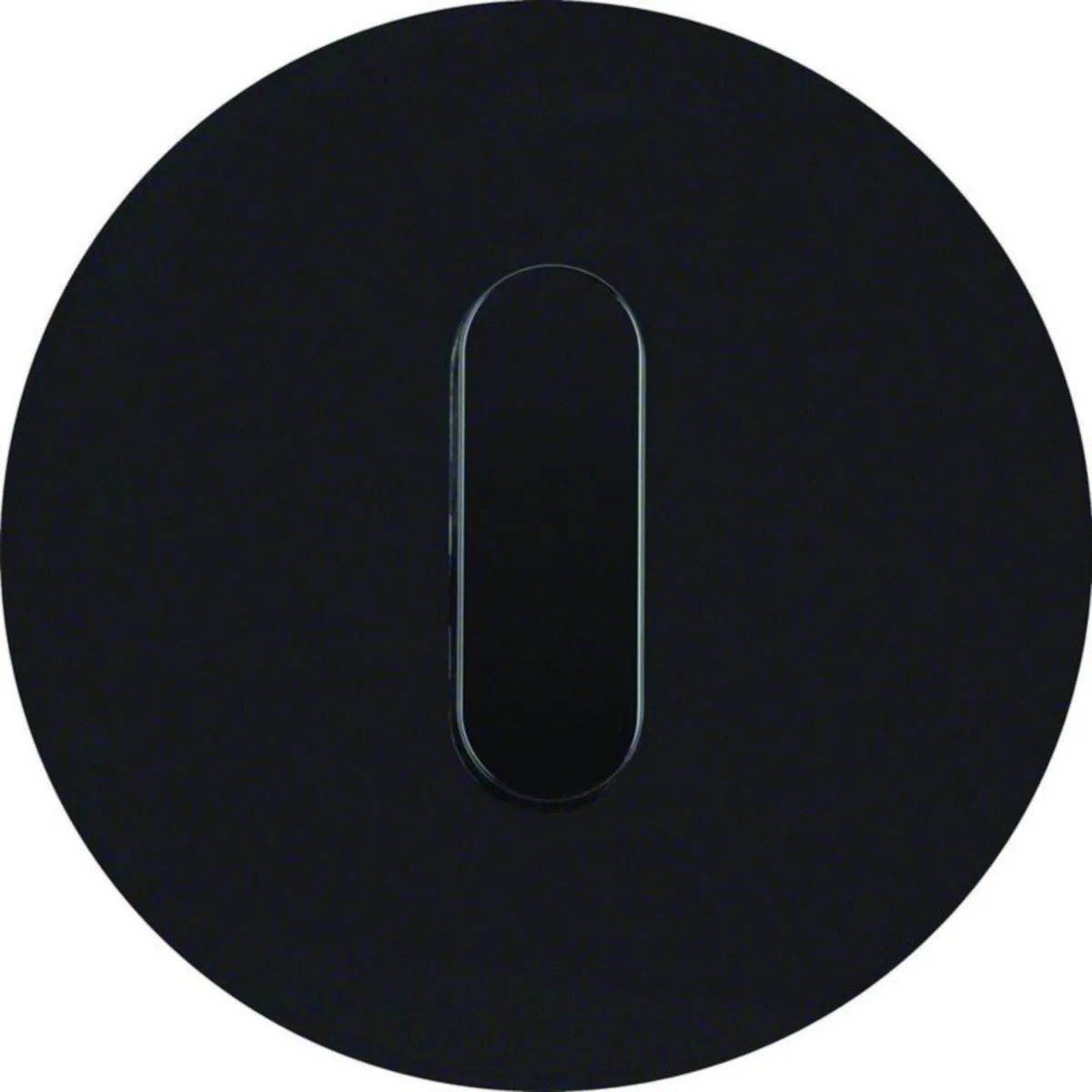 Peitelevy Hager R.classic vääntimellä 1f. w. toggle black – antrasiitti
