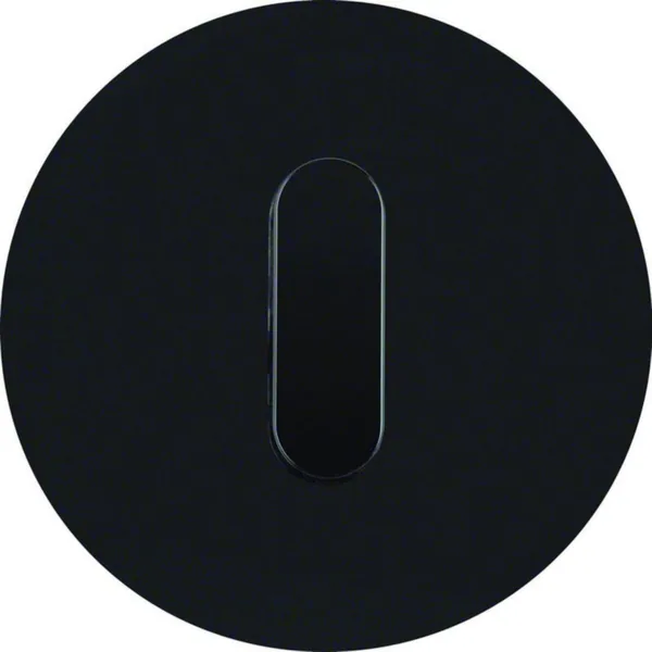 Peitelevy Hager R.classic vääntimellä 1f. w. toggle black